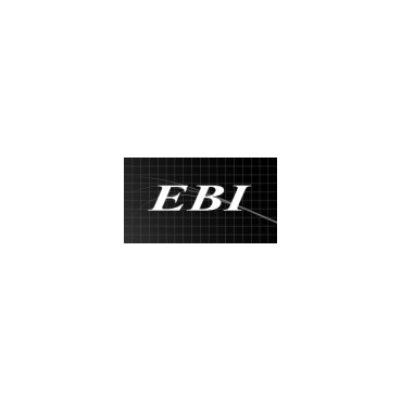 ジャストエース/EBI(エギング・シーバス)
